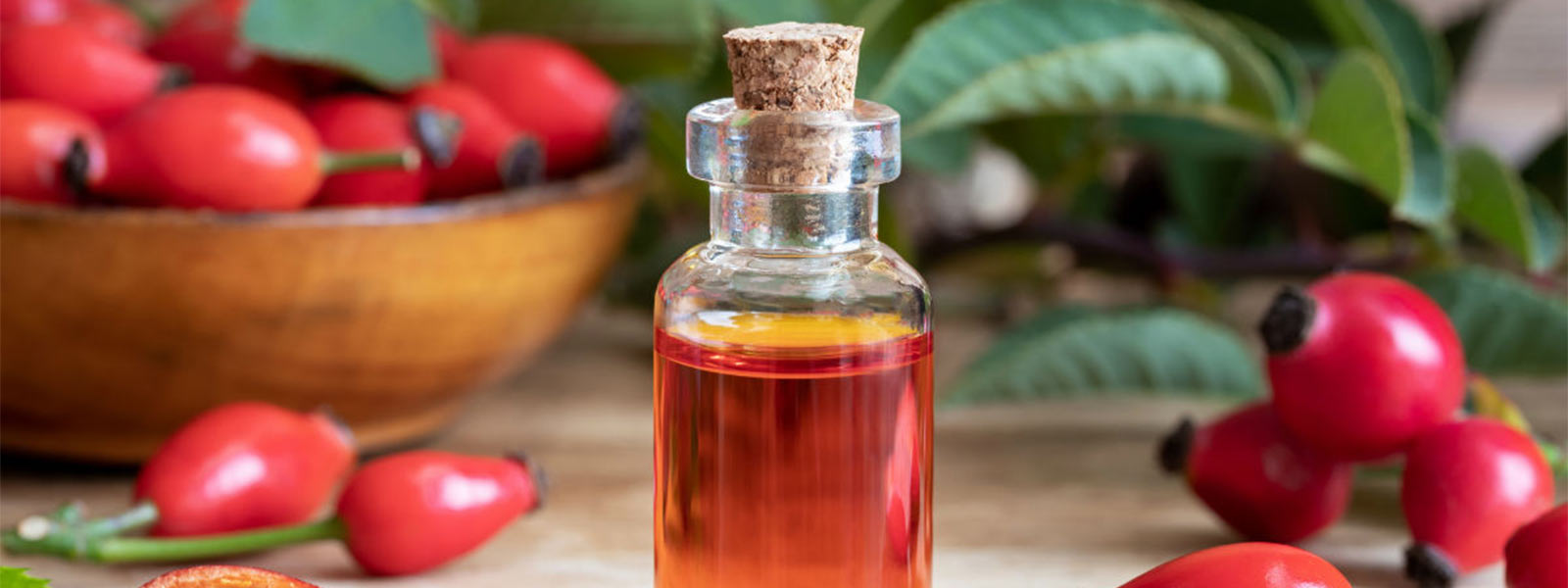 Óleo de rosa mosqueta: para que serve, benefícios e como usar