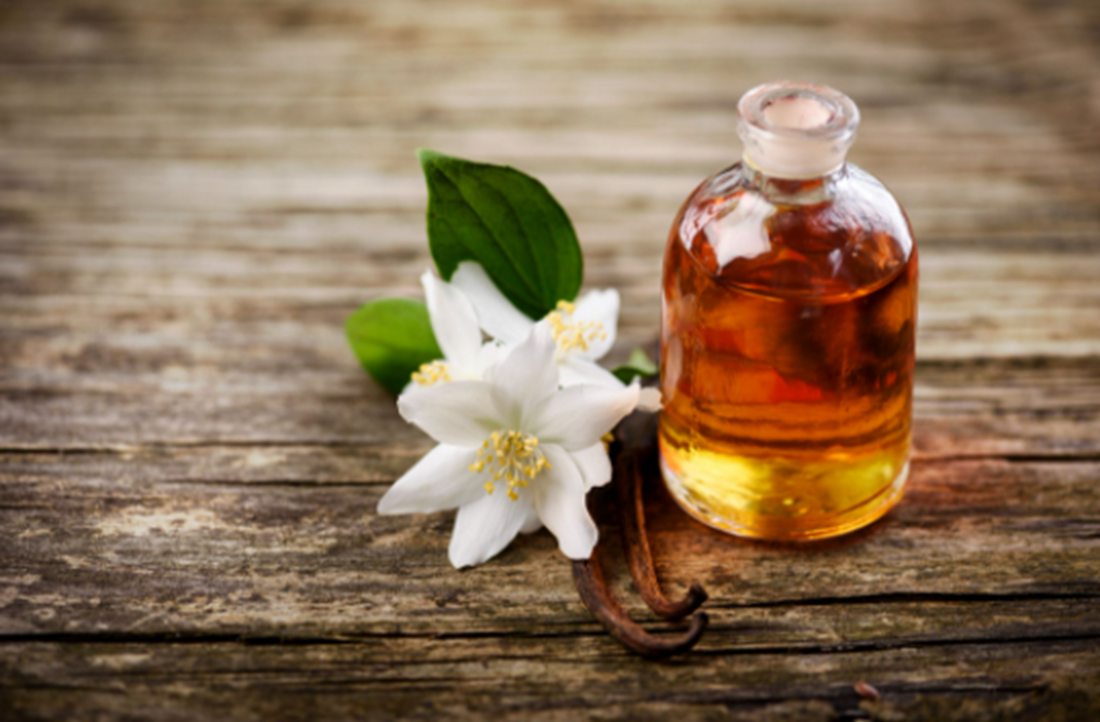 Óleo de pracaxi: saiba como usar e seus benefícios!!