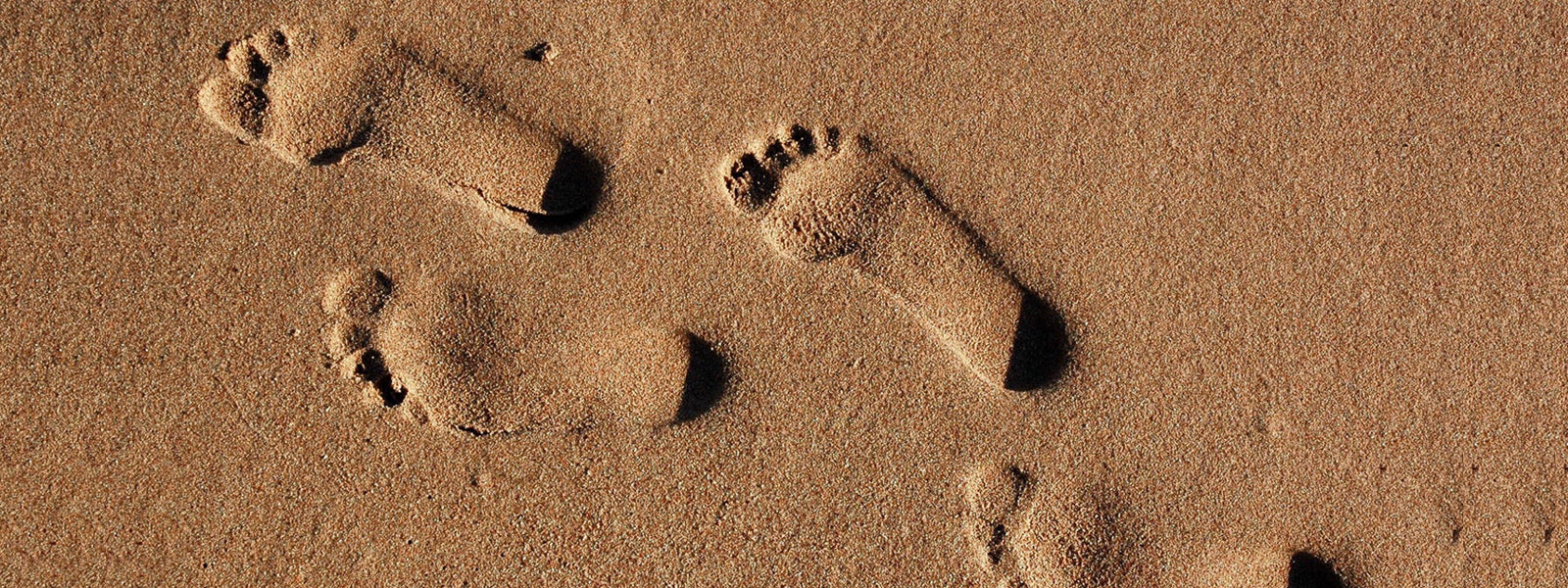 Pegada Hídrica: Saiba como podemos melhorar no dia a dia!